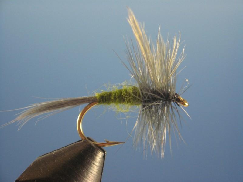 Blue Wing Olive | The Trout Spot