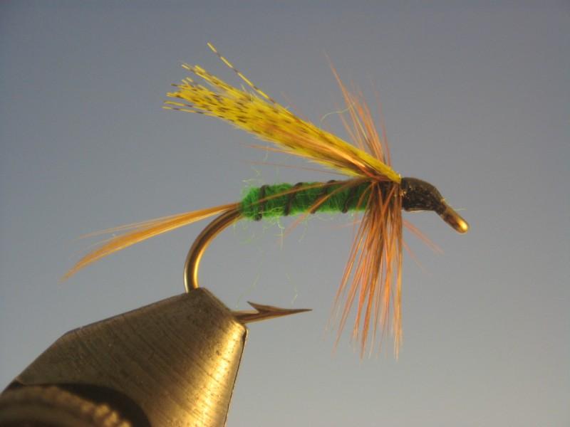 Green Mayfly | The Trout Spot