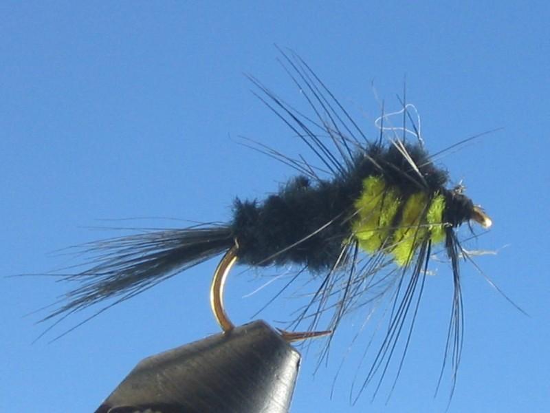 Montana Stonefly Nymph | The Trout Spot