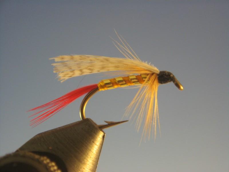 Professor Trout Fly | The Trout Spot