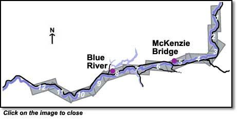 Troutmap Flyfishing River Guide Mckenzie River - 