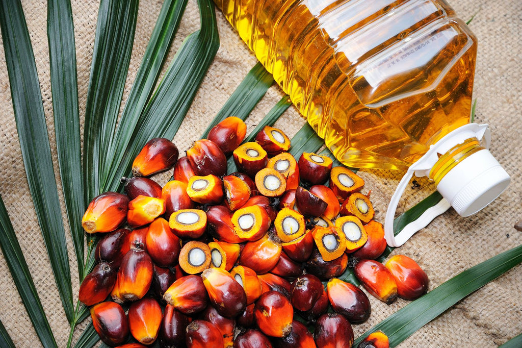 Palm oil and oil bottle