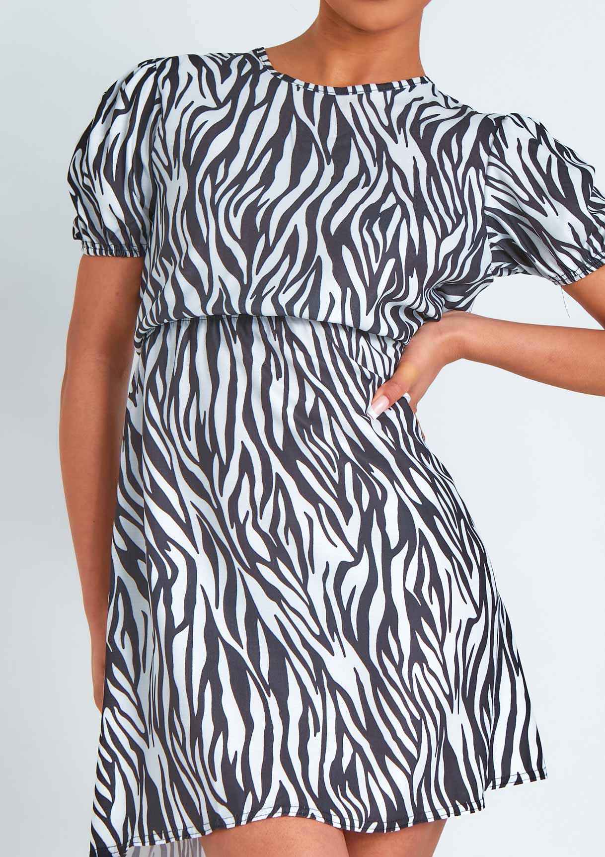 Melanie Zebra Print Day Dress