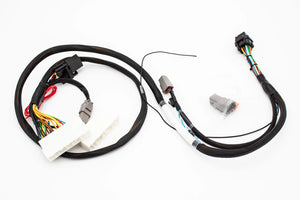 Fueltech FT450 K Series K20 K24 Adapter Jumper / Expansion / SUB Harness for ECU Display V2 - RPT CREATIONS