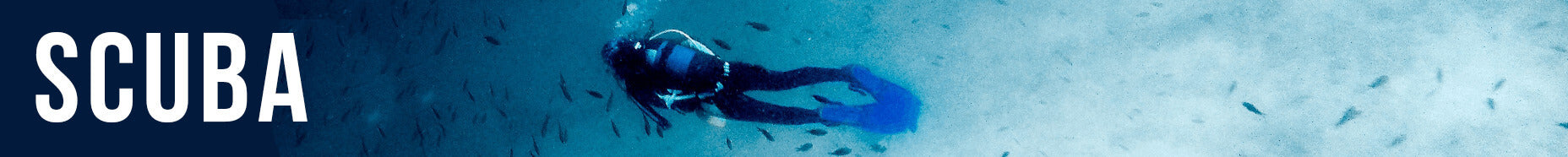 Scuba. Diver in the ocean. 