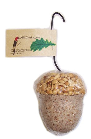 acorn-suet