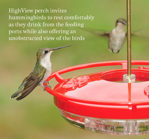 highview-perch-hummingbird-feeder
