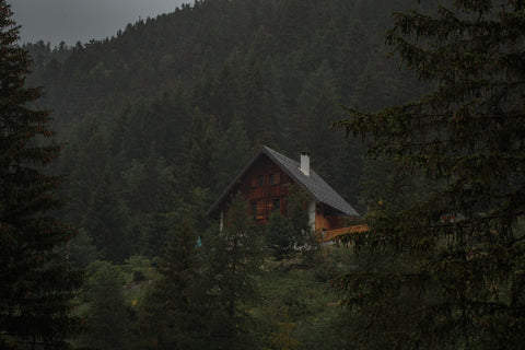 Log cabin in the woods