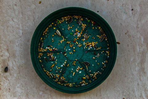 Green bird seed tray with a few seeds inside