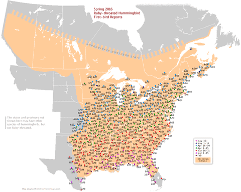 ruby-throated-hummingbird-map