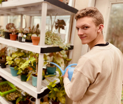 Avi watering plants on a shelf.