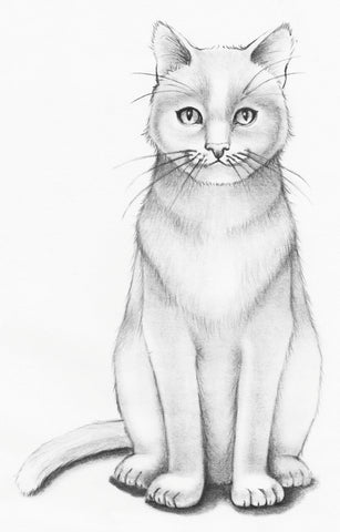 easy cat drawings