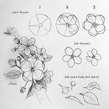 how to draw flowers