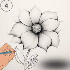 drawing flowers step by step