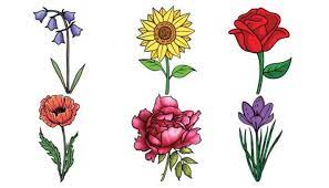 flower drawing ideas