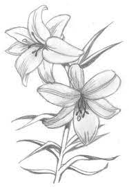 flower drawing ideas