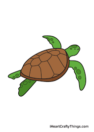 how to draw a sea turtle