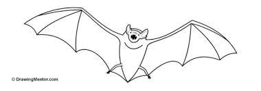 Bat drawing techniques