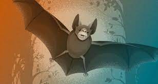 bat drawing basics