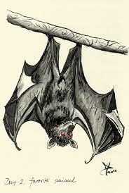 draw a bat