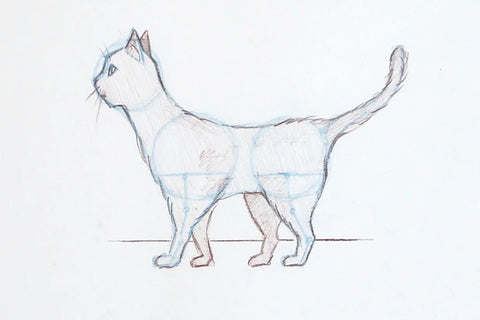 easy cat drawing