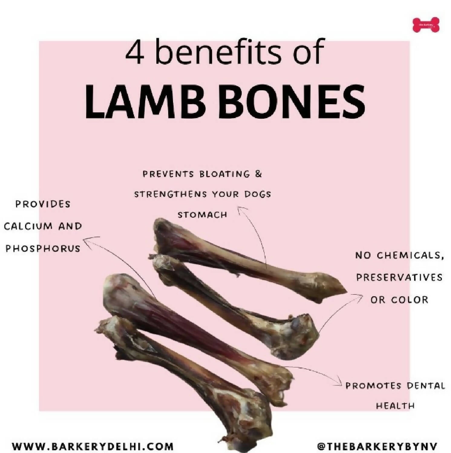 can you give lamb bones to dogs