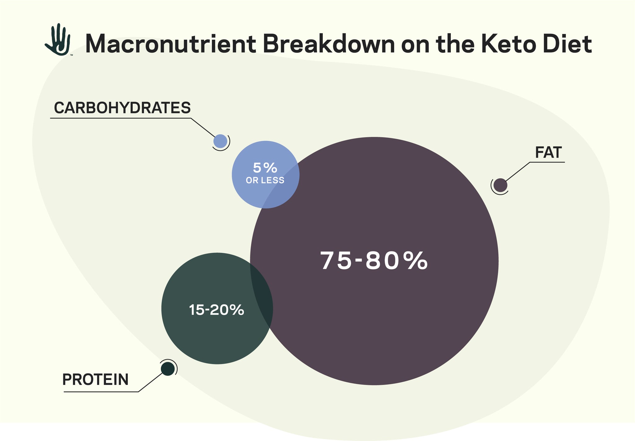 Macronutrient Breakdown on Keto Diet