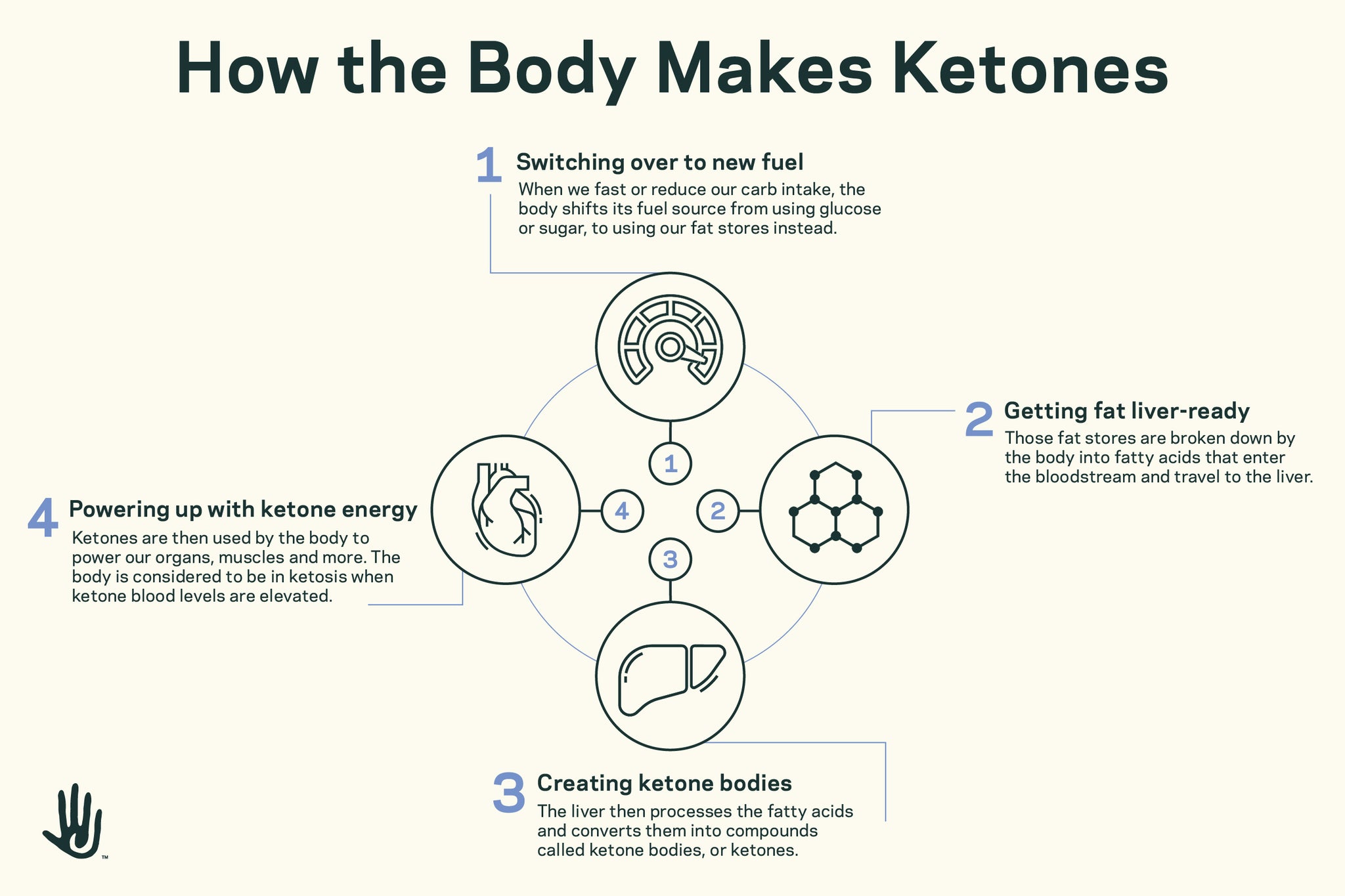 How the body makes ketones