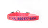 Buy Personalized Dog Collars