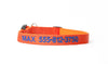 Buy Personalized Dog Collars