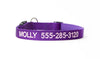 Buy Personalized Dog Collars