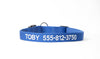 Buy Personalized Dog Collars