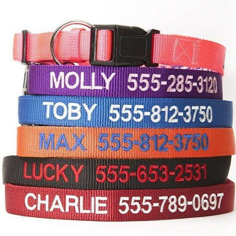 Buy Personalized Dog Collars