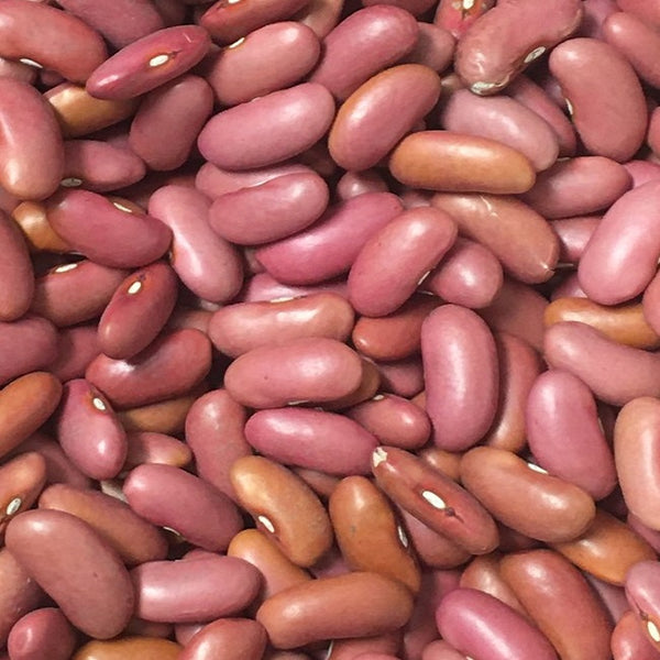 Light Red Kidney Beans (USA)- 5.5 lbs.-Stand-up, Resealable, Tamper Ev –  Bountiful Living Foods