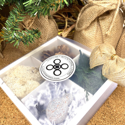 Find Serenity in the Temperate Forest, DIY Crafts, Gift Set