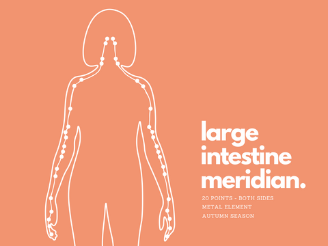 Large Intestine Meridian