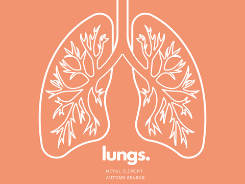 Wellness with the Seasons - Lung Health
