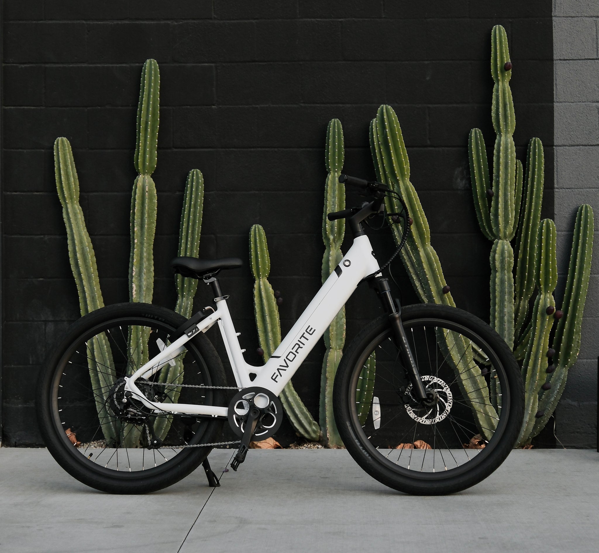 Favorite Bikes Hybrid