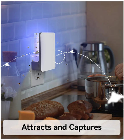 Wowcatch Trap for flies