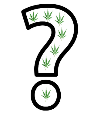 Question mark and cannabis leaves