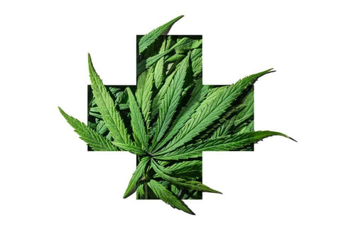 Uso medico di cannabis 