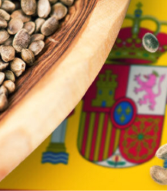 Spanish flag and cannabis seeds