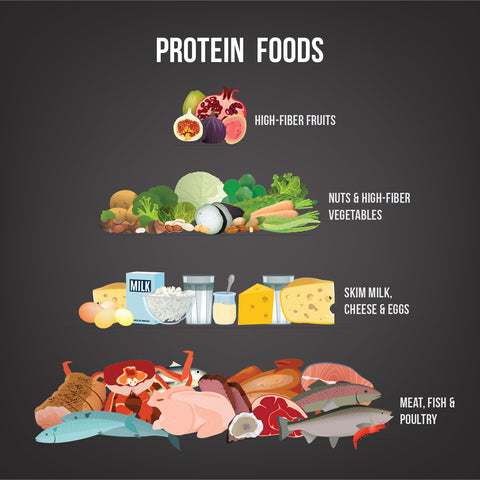 Types of High Protein Foods to Increase Your Metabolism