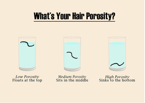 Determining Your Hair Porosity Level