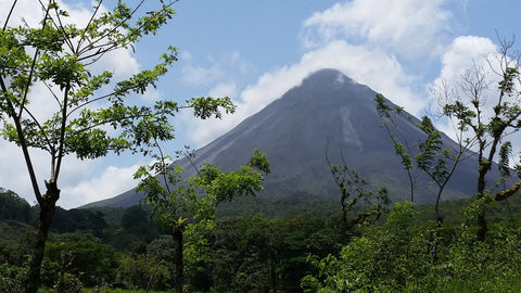 Central America Volcano Coffee Landscape