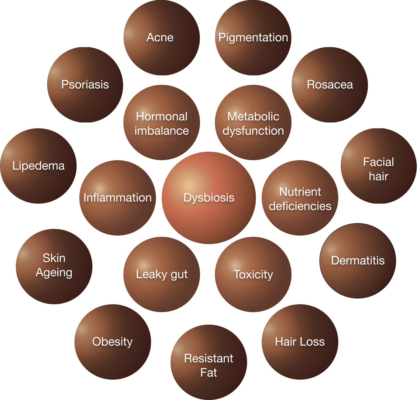 Bio-Alai Personalised Nutrition Plan