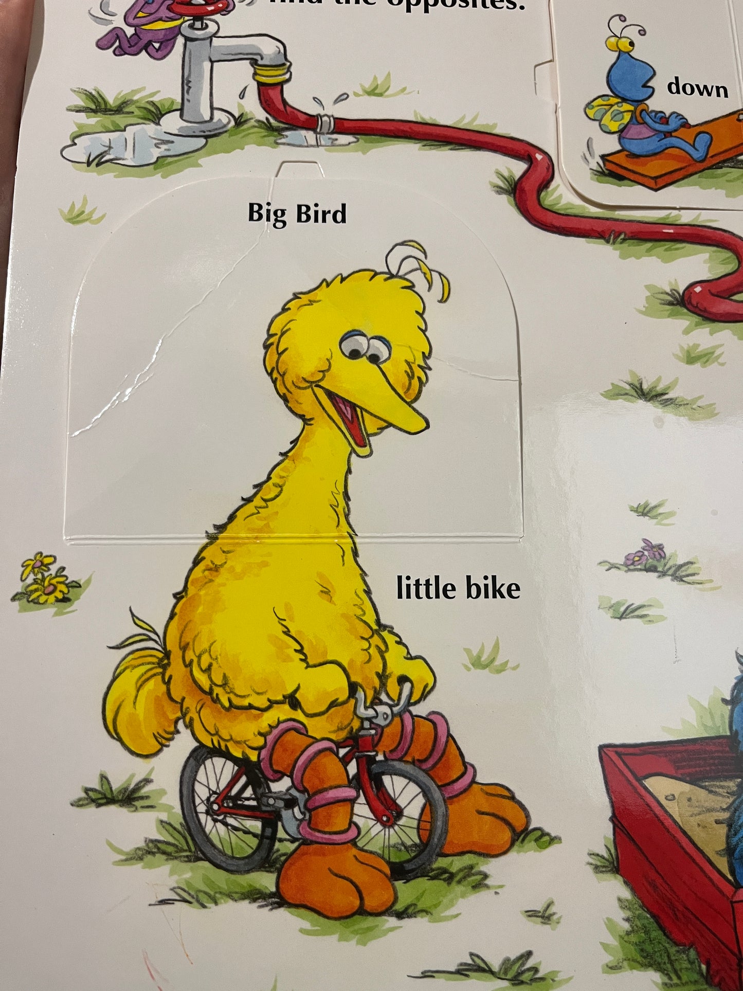 Elmo’s Big Lift-And-Look Book (Ross)