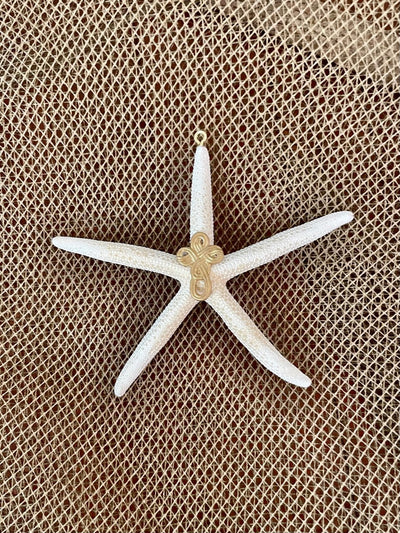 White Finger Starfish & White Sand Dollar Collection