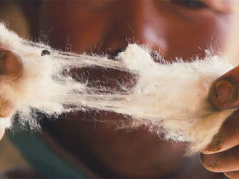 An expert artisan dehairing the impurities from the cashmere wool.