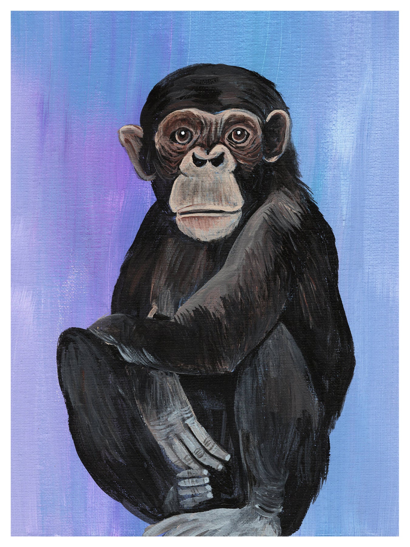 Chimpanzee Print – Bohemian Dreamer